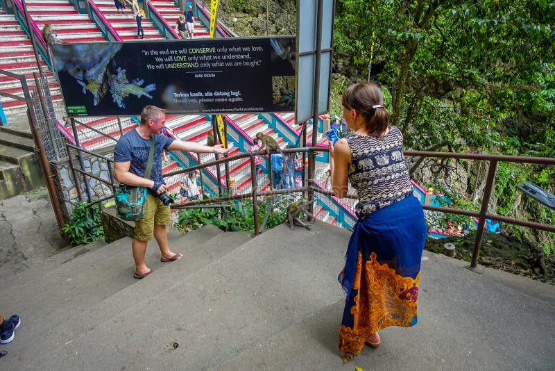 Kuala Lumpur, Malaisie - 9 mars 2017 : Les touristes inconnus photographiant des singes dans Batu foudroie, une colline de chaux images stock Kuala Lumpur, Malaisie - 9 mars 2017 : Les touristes inconnus photographiant des singes dans Batu foudroie, une colline de chaux images stock