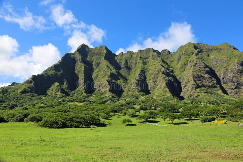 Kualoaboerderij stock foto's Kualoaboerderij stock foto's