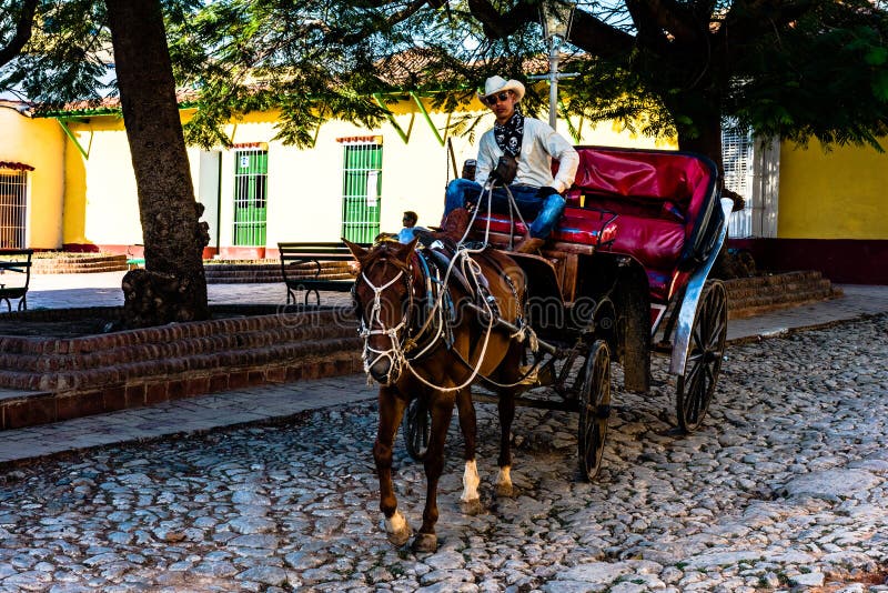 Kubansk cowboy royaltyfria bilder Kubansk cowboy royaltyfria bilder