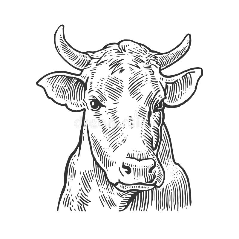 Kuh drucken Muster Tier nahtlos. Weiß Kuh Haut abstrakt zum Drucken,  Schneiden, Aufkleber, Netz, Abdeckung, Zuhause schmücken und mehr. 22588133  Vektor Kunst bei Vecteezy