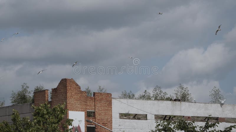 Kuilen en cirkels boven open dak van verlaten baksteengebouw.