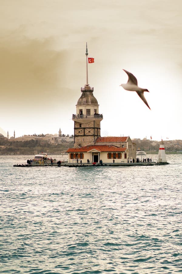 Kulesi do kiz da torre do ` s e gaivota novos Istambul imagem de stock Kulesi do kiz da torre do ` s e gaivota novos Istambul imagem de stock