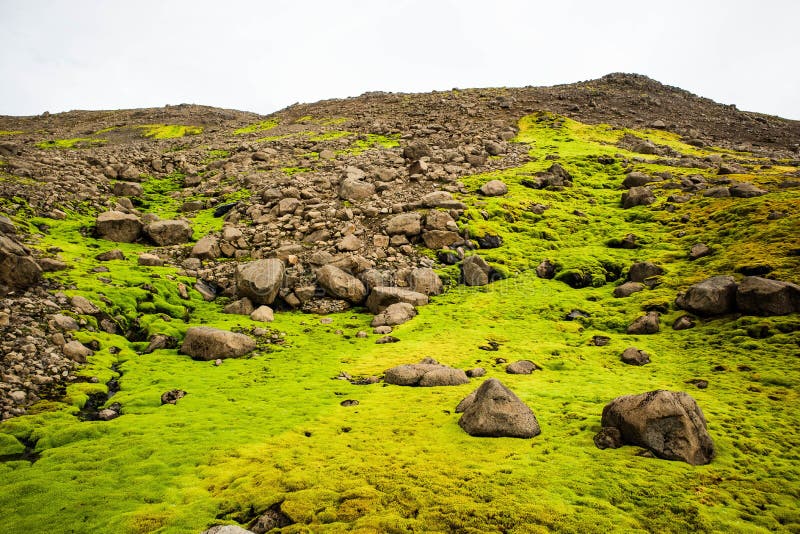 A hill of rocks of different sizes piled up on a green land under the white clouds. A hill of rocks of different sizes piled up on a green land under the white clouds