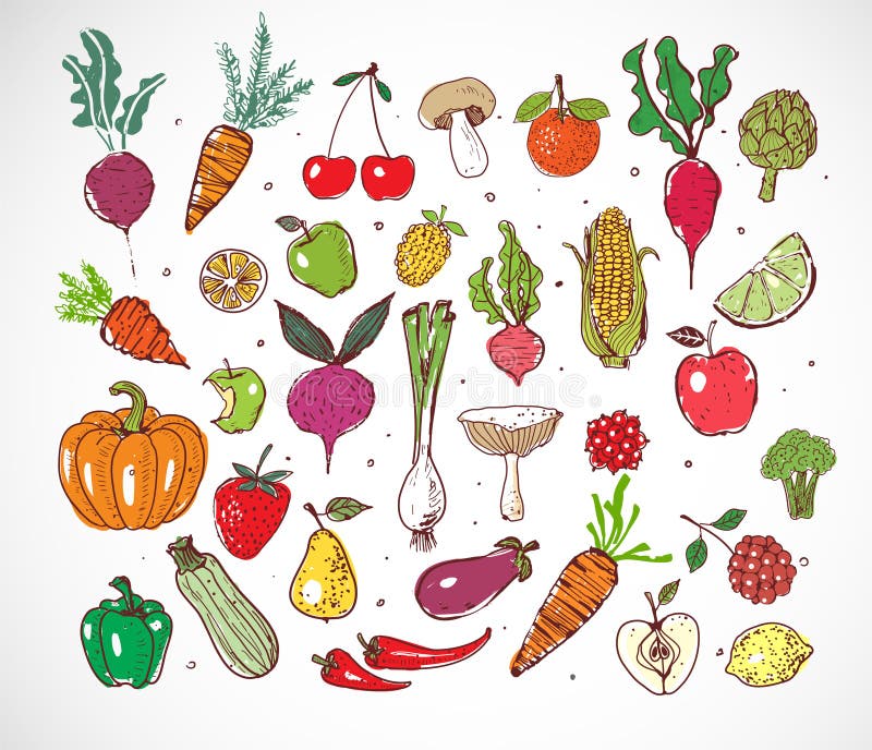 Kulöra klotterfrukter och grönsaker på vit bakgrund Vektorn skissar illustrationen av sund mat vektor illustrationer Kulöra klotterfrukter och grönsaker på vit bakgrund Vektorn skissar illustrationen av sund mat vektor illustrationer