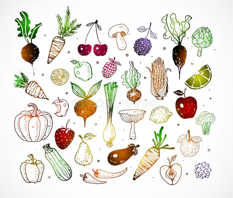 Kulöra klotterfrukter och grönsaker på vit bakgrund Vektorn skissar illustrationen av sund mat stock illustrationer Kulöra klotterfrukter och grönsaker på vit bakgrund Vektorn skissar illustrationen av sund mat stock illustrationer