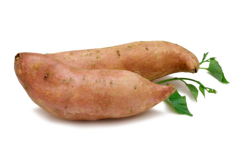 Kumara (Sweet Potato) stock photo. Image of food, tuber 13576352