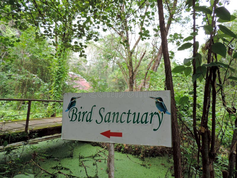 Kumarakom Bird Sanctuary in Kerala, India
