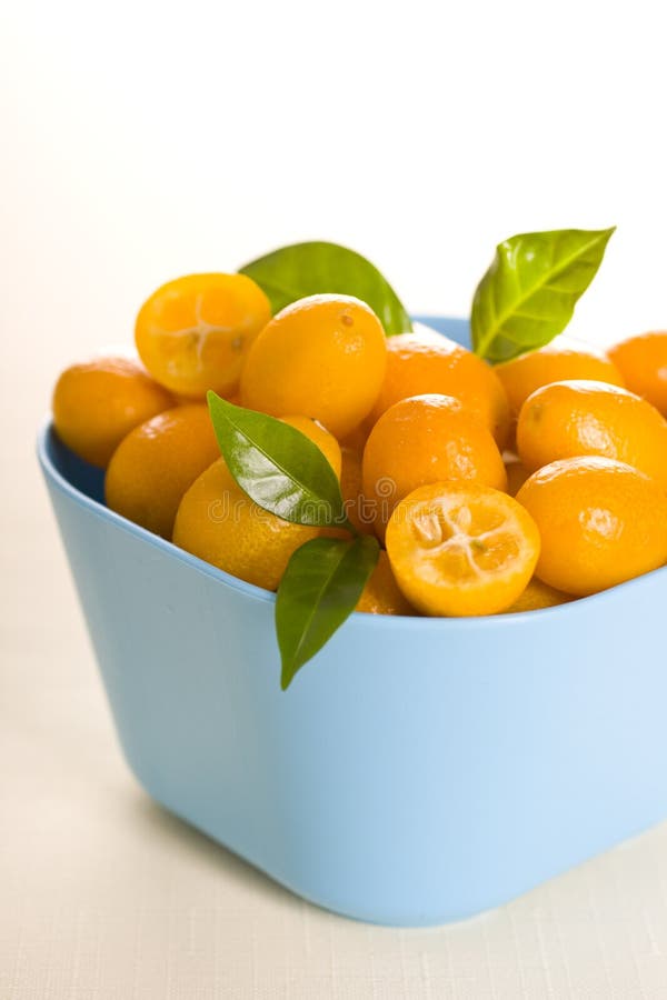 Kumquat stock photo. Image of fresh, vitamin, green, kumquat 17733890