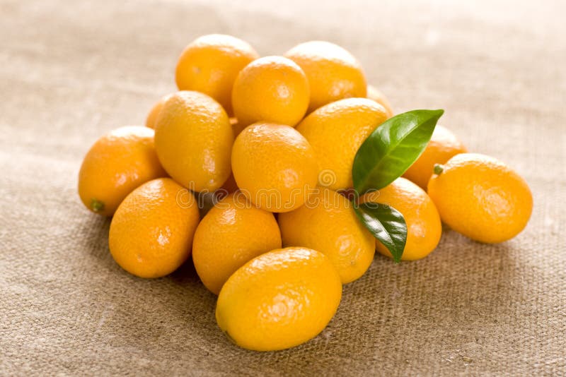 Kumquat stock image. Image of food, kumquat, isolated 17733929