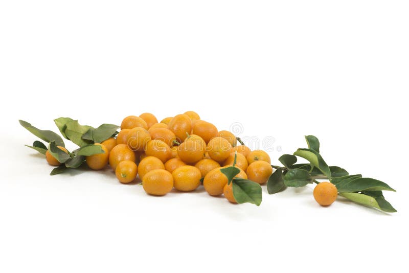 Kumquat foto de archivo. Imagen de ingredientes, oval 32302638