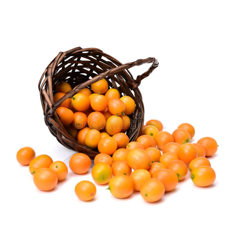 Kumquat fresco imagem de stock Kumquat fresco imagem de stock