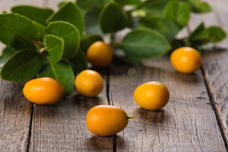 Kumquat stock image. Image of ripe, fruit, natural, close 63941689