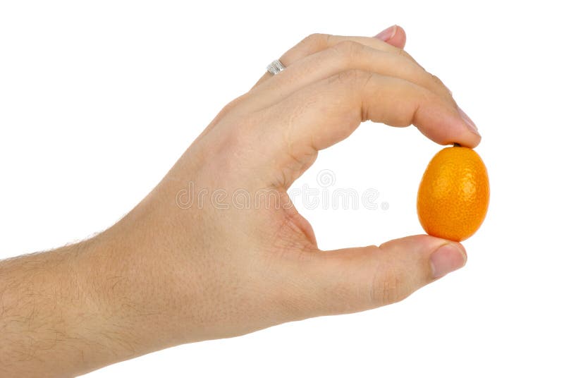 Kumquat fruit in hand