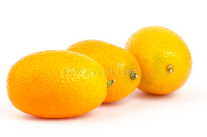 Kumquat orange stock photo. Image of natural, healthy 48239004
