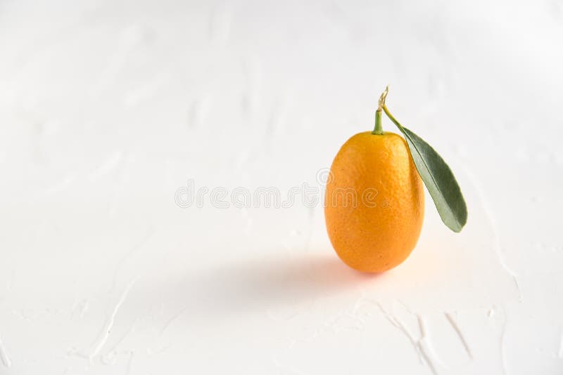A Kumquat, Small Citrus Fruit, and Its Shade, on a White Textured