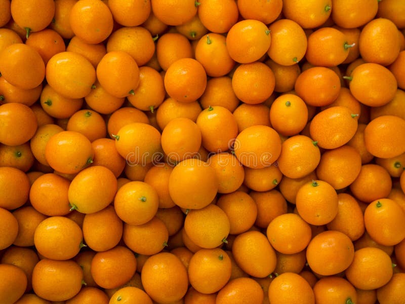 beatunes vs tangerine beatunes vs tangerine
