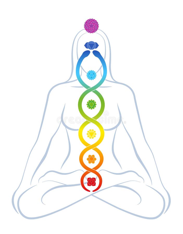 Kundalini Serpente Chakras Despertando Símbolo De Potência