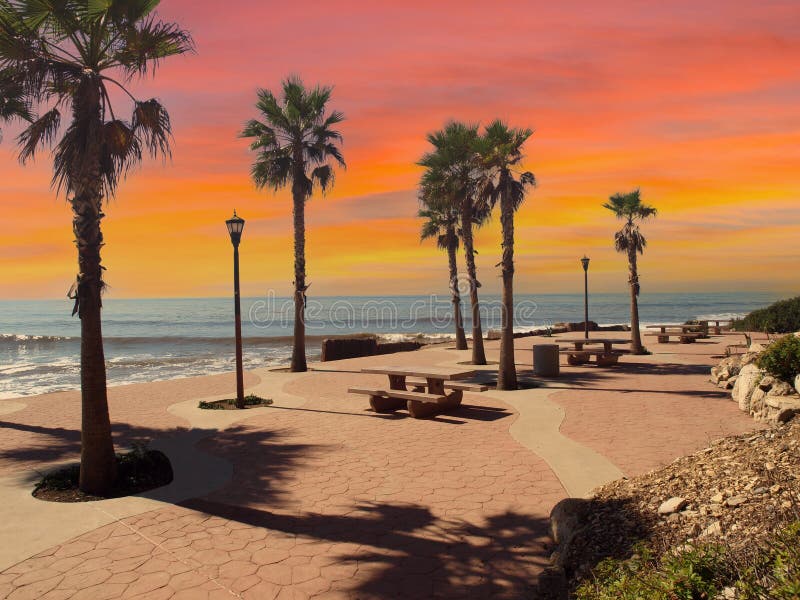 Kungliga palmstrandspark med solnedgång i los angeles california royaltyfria bilder
