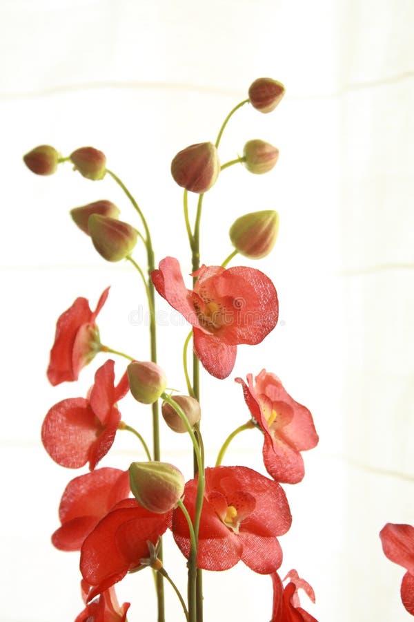 Kunstbloemen 1 royalty-vrije stock foto