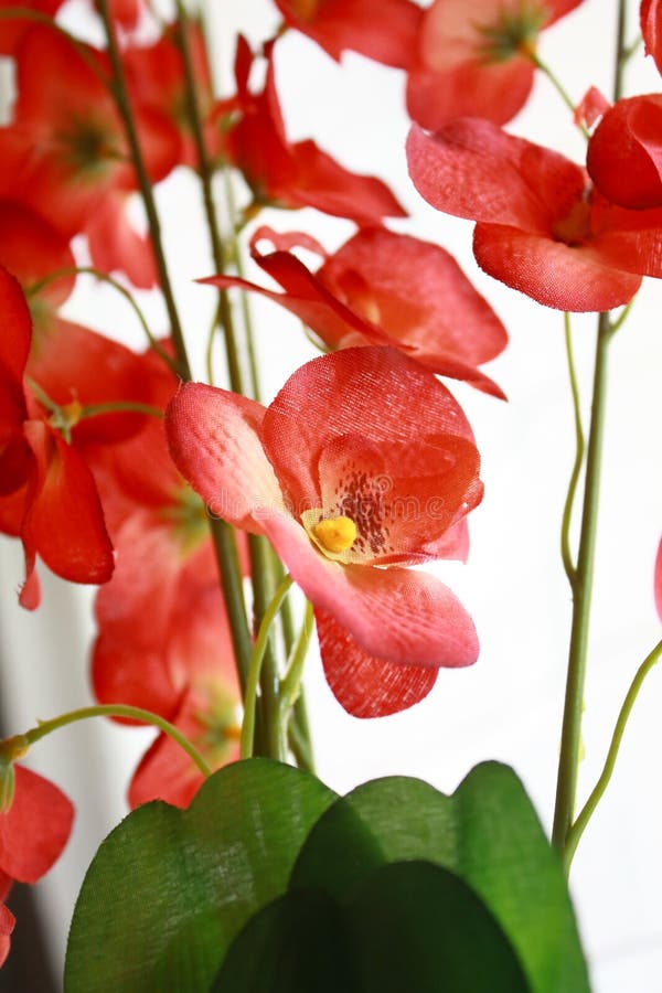 Kunstbloemen 2 stock afbeeldingen