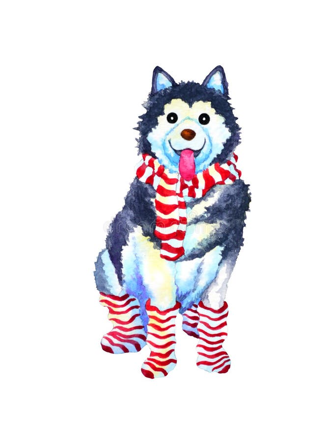 Kunsthundeaquarell-Malereiillustration des sibirischen Huskys lustige vektor abbildung Kunsthundeaquarell-Malereiillustration des sibirischen Huskys lustige vektor abbildung