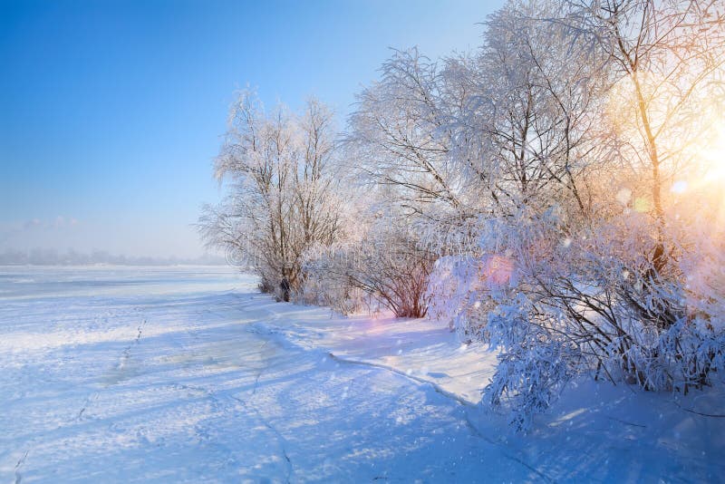 Kunstwinter Landschaft mit gefrorenem See und schneebedeckten Bäumen
