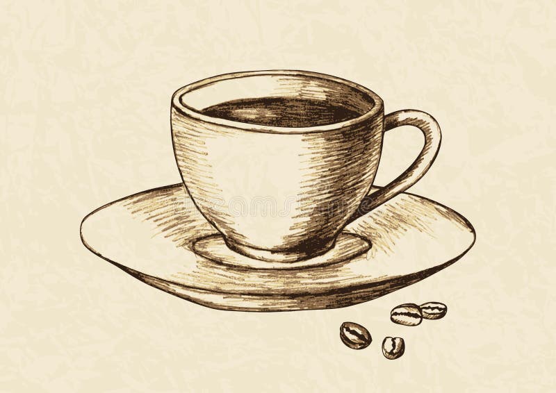 Sketch illustration of a cup of coffee and coffee beans. Sketch illustration of a cup of coffee and coffee beans