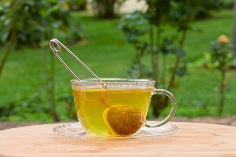 Kupa av tea i gräsplanträdgård fotografering för bildbyråer Kupa av tea i gräsplanträdgård fotografering för bildbyråer