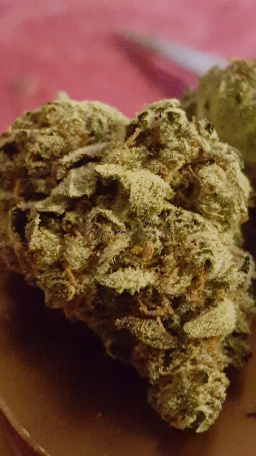 Kush stock image. Image of kush, frosty, cookies, herb 86220053