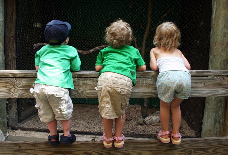 Three cousins hang out together on a fence at the zoo. Three cousins hang out together on a fence at the zoo.