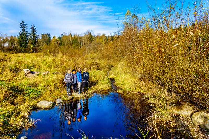 Mission, British Columbia/ Canada: Nov. 12, 2018: Cousins enjoying a hike on the trails of Silverdale Creek Wetlands near Mission British Columbia, Canada on a nice autumn day. Mission, British Columbia/ Canada: Nov. 12, 2018: Cousins enjoying a hike on the trails of Silverdale Creek Wetlands near Mission British Columbia, Canada on a nice autumn day