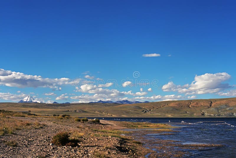 Kusten av den sakrala sjön Manasarovar i Tibet royaltyfri fotografi Kusten av den sakrala sjön Manasarovar i Tibet royaltyfri fotografi