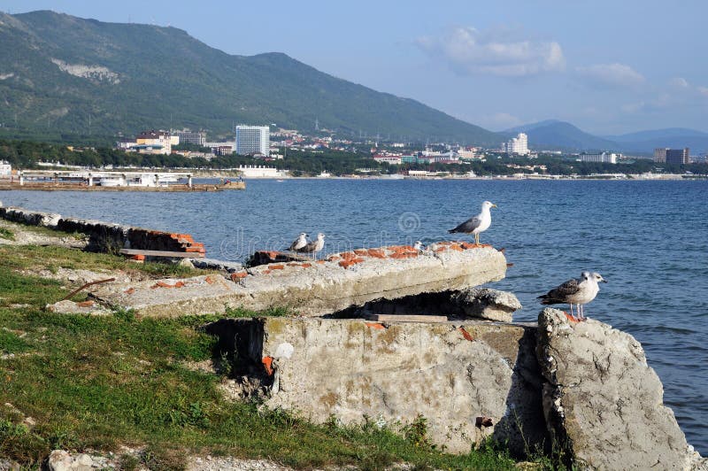 Kustlijn. stock afbeeldingen