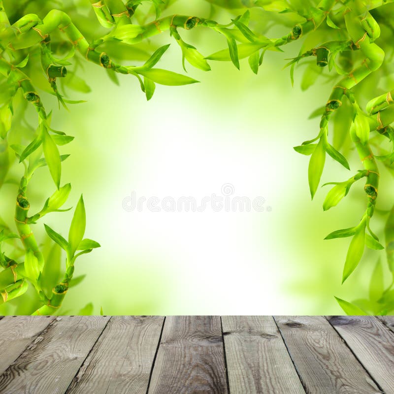 Kuuroordachtergrond met Groen Bamboe en Houten Lijst stock foto's Kuuroordachtergrond met Groen Bamboe en Houten Lijst stock foto's