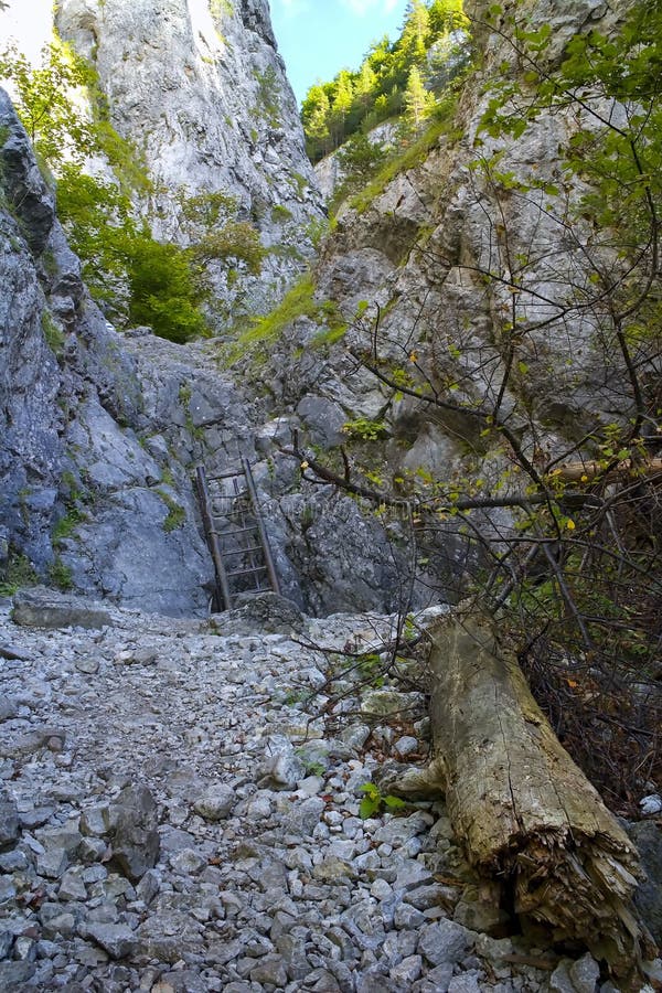 Kvacany - Prosiek valley - one of the many gorges in the valley with touristic ladder