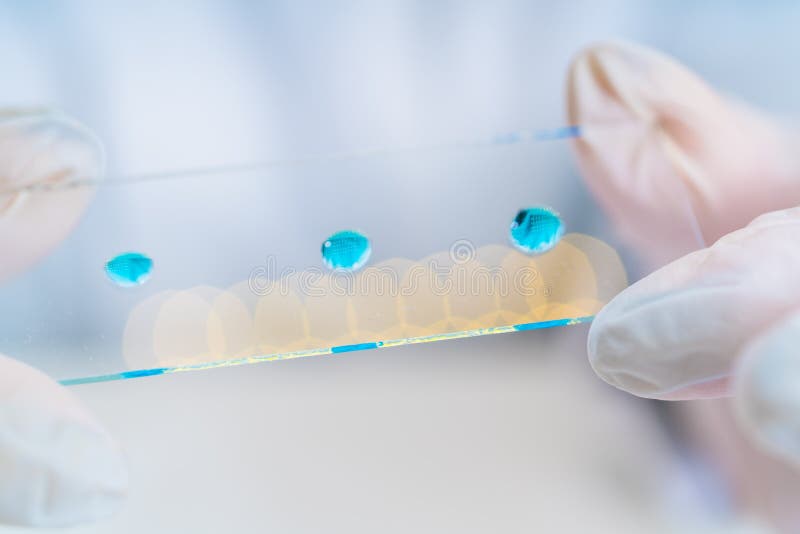 Kvinna i ett laboratoriummikroskop med mikroskopglidbanan i hand fotografering för bildbyråer