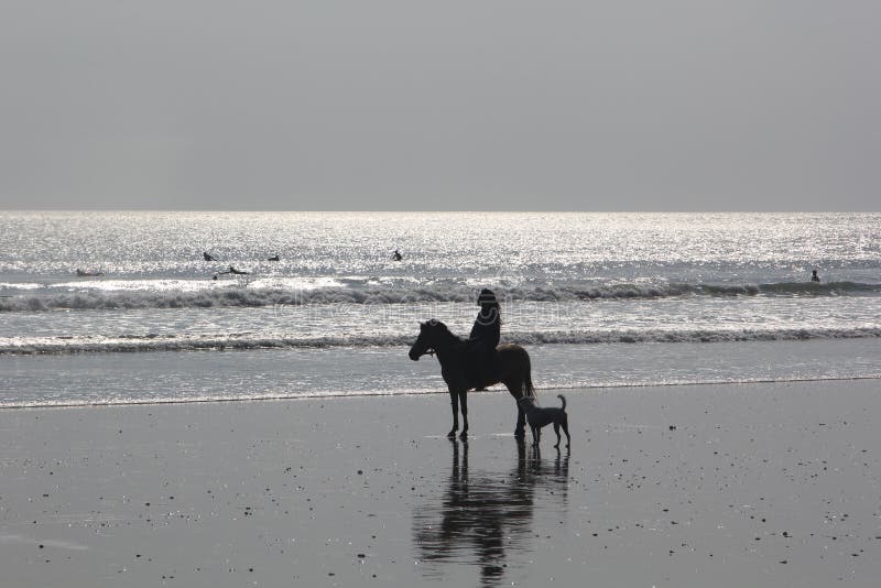 Kvinna på häst och hund på stranden royaltyfria bilder Kvinna på häst och hund på stranden royaltyfria bilder
