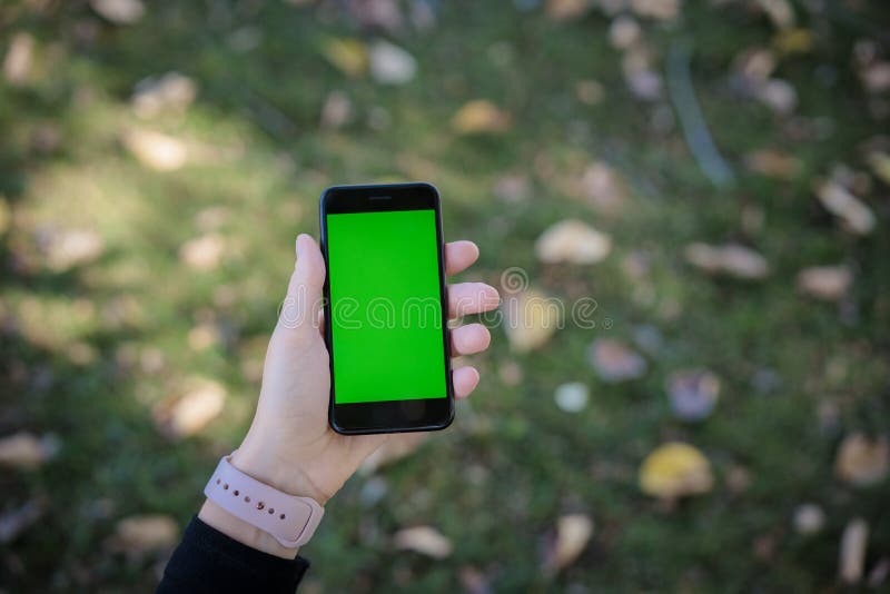 Kvinna som använder den mobila skärmen för gräsplan för teknologitelefonmellanrum royaltyfri bild