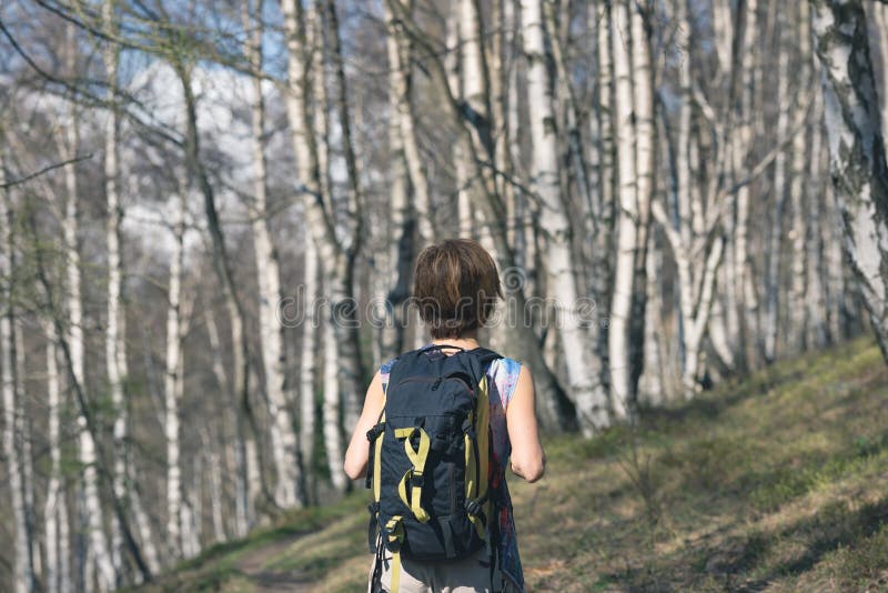 Kvinna som fotvandrar i skogen, en person som går i skogsmarken som vandrar sommaraffärsföretaglopp, bakre sikt, tonad bild fotografering för bildbyråer Kvinna som fotvandrar i skogen, en person som går i skogsmarken som vandrar sommaraffärsföretaglopp, bakre sikt, tonad bild fotografering för bildbyråer