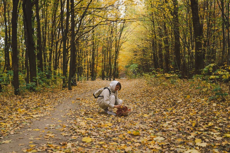 Kvinna som har höstpromenader i skogen royaltyfri foto