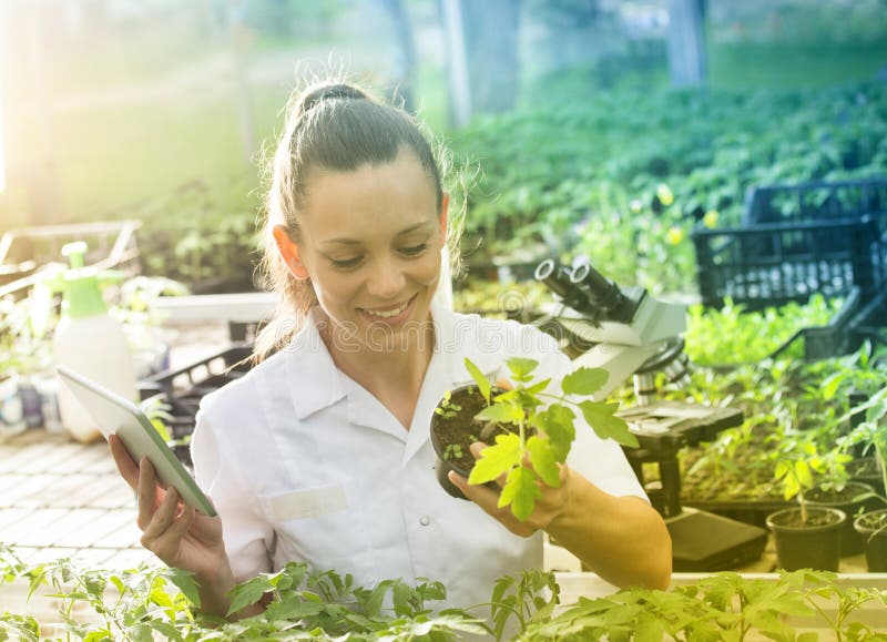 Young pretty woman agronomist in white coat working on tablet and with seedlings in greenhouse. Plant care and protection concept. Young pretty woman agronomist in white coat working on tablet and with seedlings in greenhouse. Plant care and protection concept