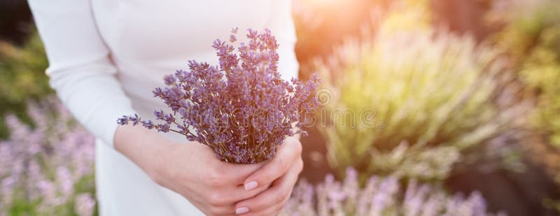Kvinnabrud som rymmer i handbukett av lavendelblommor på bakgrund av fältet, närbild royaltyfria foton Kvinnabrud som rymmer i handbukett av lavendelblommor på bakgrund av fältet, närbild royaltyfria foton
