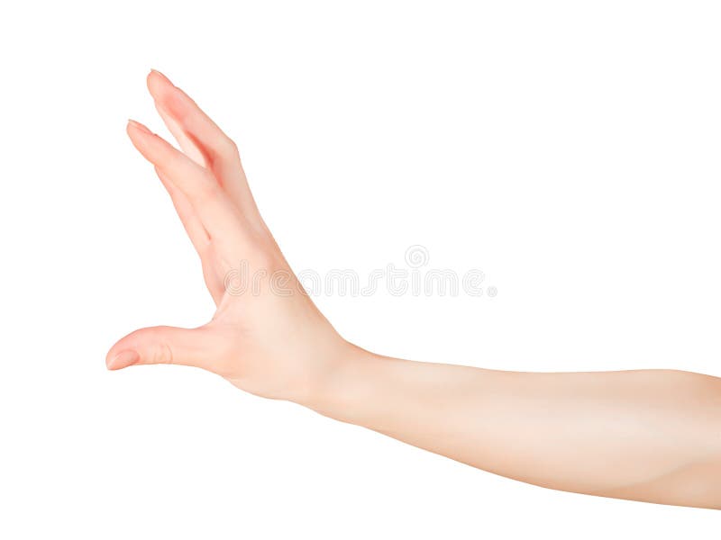 Kvinnahandinnehav eller mäta något som är liten arkivfoto Kvinnahandinnehav eller mäta något som är liten arkivfoto
