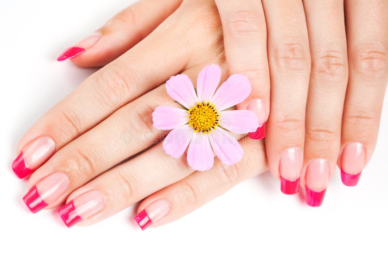Kvinnahänder med den rosa manicuren