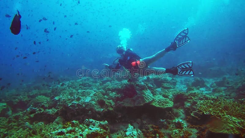 Kvinnan dykning och rekreation i korallreven snorkeling och träning på semester- och naturledighet. kvinnlig