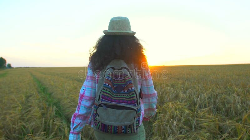 Kvinnaturist som går i vetefält på sommarsolnedgången Fotvandrarehandelsresandekvinna i hatt med ryggsäcken som hikking i natur f
