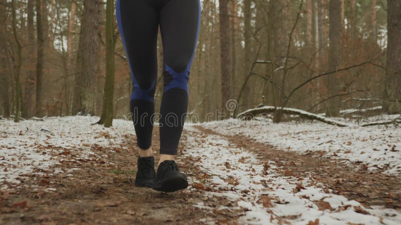 Kvinnlig joggning i parken, nära benens framsida Professionella idrottsutövare går utomhus och tränar hårt Anpassa hondjur med sp lager videofilmer