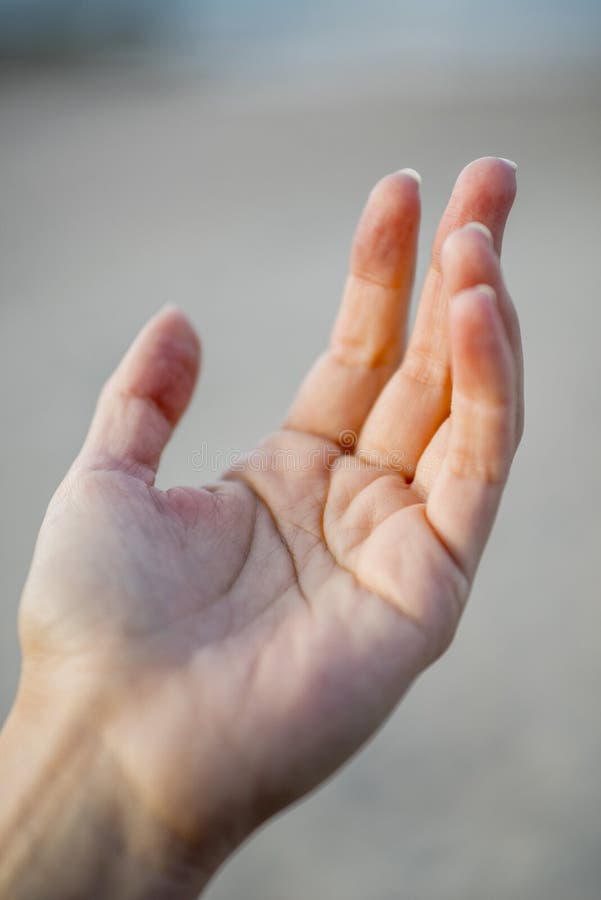 Kvinnlig tonårig hand arkivbilder Kvinnlig tonårig hand arkivbilder