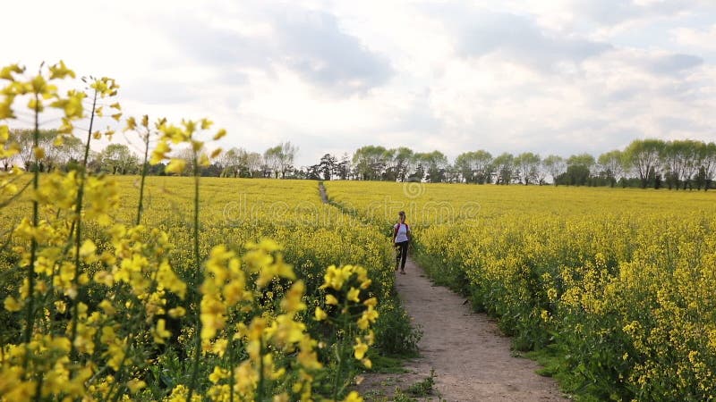 Kvinnlig ung kvinna för afrikansk amerikanflickatonåring som fotvandrar med den röda ryggsäcken i fältet av gula blommor