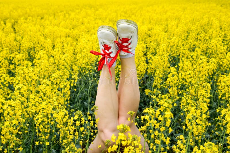 Kvinnligben i gymnastikskor som klibbar ut ur blommor ben upp Ben mot bakgrunden av guling våldtar blomningar fotografering för bildbyråer Kvinnligben i gymnastikskor som klibbar ut ur blommor ben upp Ben mot bakgrunden av guling våldtar blomningar fotografering för bildbyråer